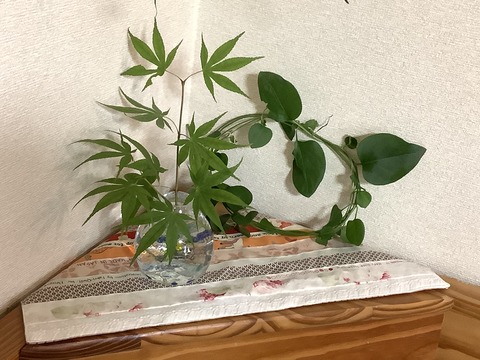 8F5BB91A-A739-483B-B95B-7A28BAF6352B