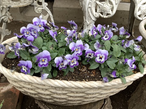 BFC04DB3-DD1E-495D-ADD5-55274DB335F1