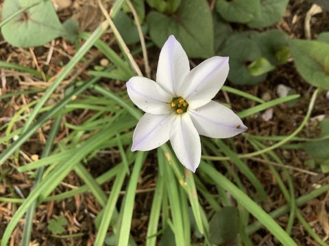 355106BF-BA4E-478B-A154-DA9F5475ADA4