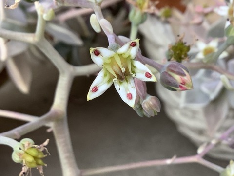 0D5BD85B-6286-4CCE-BE4D-CB43EB4708D8