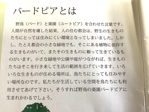 BB39D7AE-CDB8-4C6B-82AA-F4ECEEBE0FD6