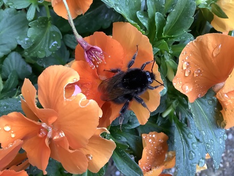 FC176863-BBA1-4430-8873-69E4CFC71310