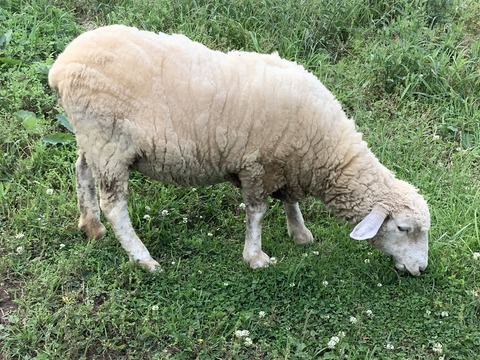 8BF587E1-0A05-4983-B3BC-0C4996B1D97E