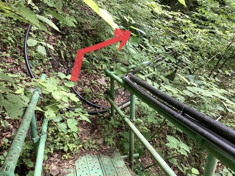 6D47A6C3-C2C9-4098-B053-F3C9CCF06A49