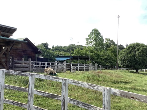 BC4BFBCD-17CA-4E8D-9917-7045DDF90A2A