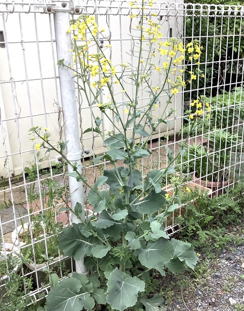 8520FAB6-40CD-4CD7-9D10-9DF8B1827505