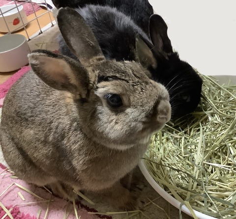 BC296708-0DD3-4505-8390-BA5C711B3639