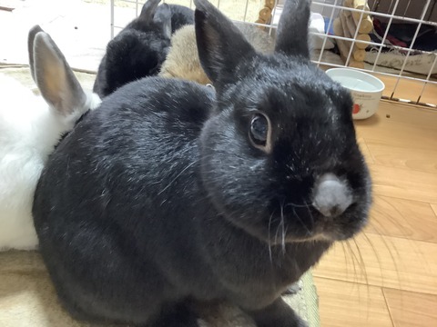 501B4EA2-5E69-4F9E-B777-3A47AA192F4E