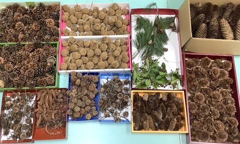 B2A38F1C-ADB8-4349-9B27-057F8533A1E0