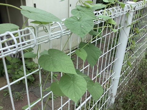 A0CABE5C-5CDA-4D32-B954-0CF170EB5F93