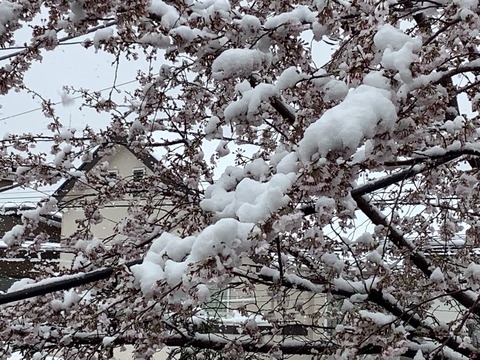 7EA30657-50DA-44B2-9FCA-98CD03ACEAA0