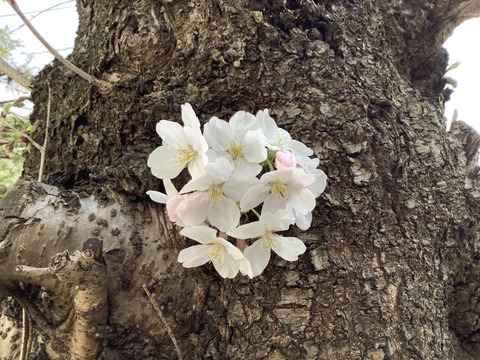 FB760F96-2391-44EE-88CE-D28340A2D18A