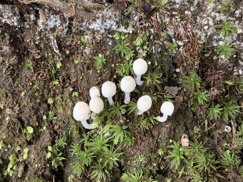 672BDAEC-6519-48BF-B7B5-2AF2F854ABB5