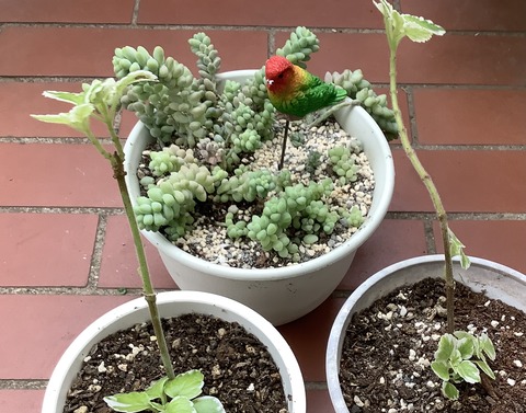 AEDE37A7-B1E2-49B3-8851-15E762388943