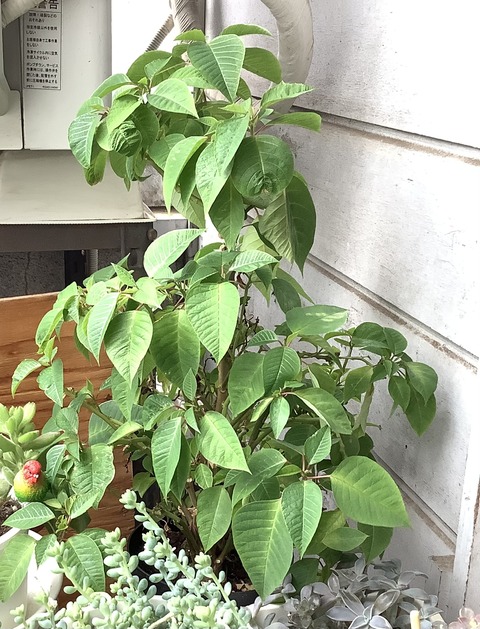 692262A3-4ACC-42F0-B16E-FA7FCF69B536