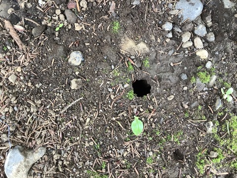 CB2F2E73-406F-43D0-A579-BD7DD6D44567