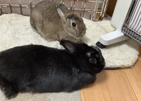 98E20B7D-B9B6-4472-8534-81C6A9D029A3