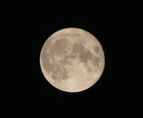 8D8EF15B-9BA2-4F9D-965E-74AC4040A811