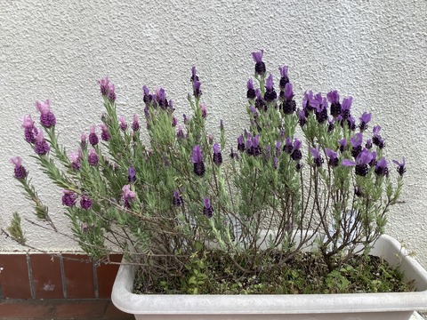 3847B827-A6ED-4362-9CC1-A3D644CED7B2