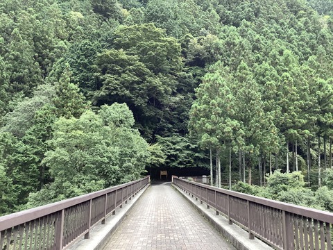 DC155B7D-197E-480A-BB6B-D20DE1DE613C