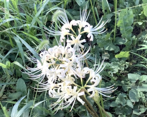 922D3525-E26F-4F97-9658-3192CB32501B