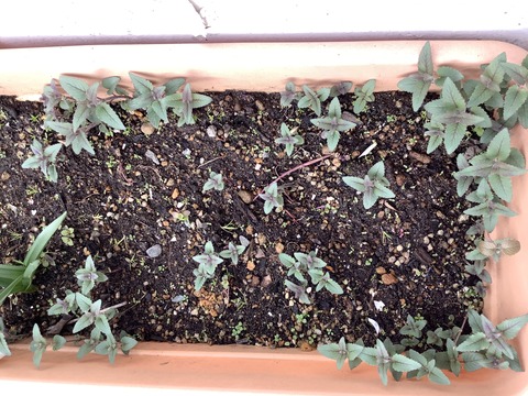 345B379F-1D9D-411A-BFA1-E8BB3803247D