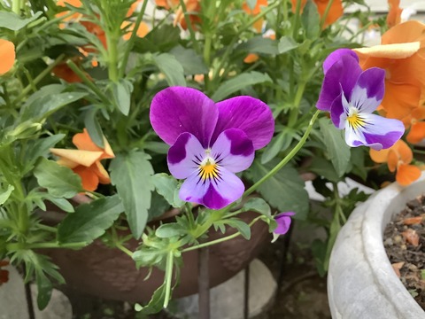 35C505BD-717A-446B-BEB7-0386A48D0CB8