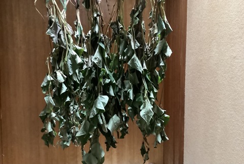 516EBC50-A645-4C6D-9429-00A528803FB4