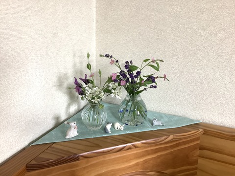 6635456D-8760-4554-96B8-CCBD67B52C81