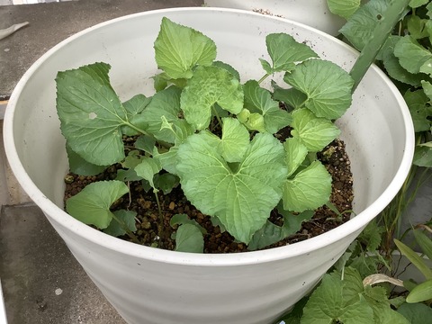 5E75D47F-76C0-4886-9858-2F6FCB1A9789