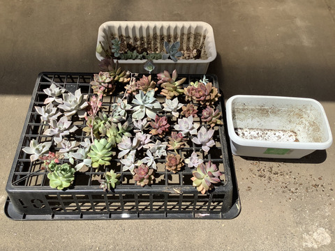 31B7F302-5D99-4E7A-BC85-97F9DCC7F458