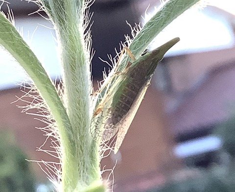 887744A6-F05F-422E-BEAB-7FFB9D8D1097