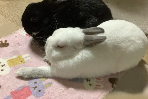 44E6DB09-E92D-4C59-9EAB-934A2EBD7AF0