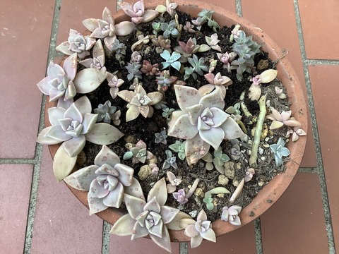 69114744-9EDF-4B0C-96E5-F733EEE3C4E8