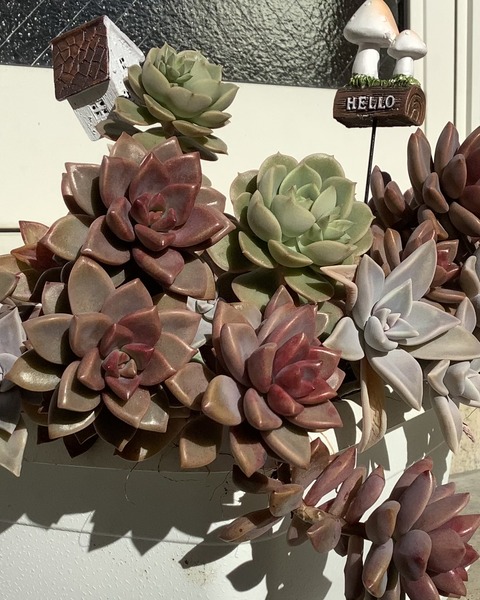 A2C1FBC1-8236-4C2B-9FEB-D24F9C316596