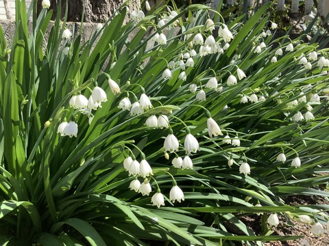 D522C011-6F66-465F-A211-98265C1AB1C2