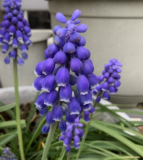 359DE8B5-F2F1-45E3-85B3-B36466A3DA80