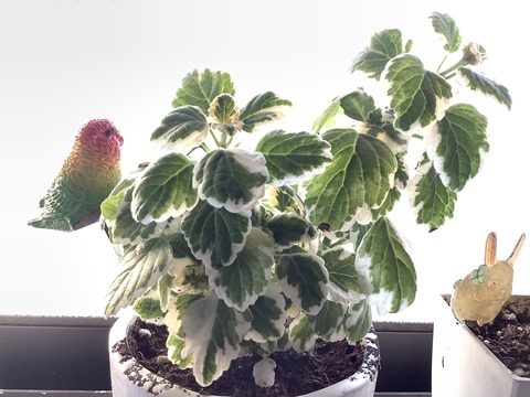 05765549-2306-4E02-B982-BE5B5313EF3A