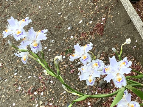 A357BA4B-4851-488E-AB2D-1A76A1E39657