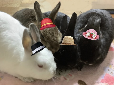 75586F1E-5C8B-448D-ADF8-150E9DAB54E7