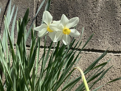 8EC9C9E5-BE2C-4B80-85FD-9D45915A7320