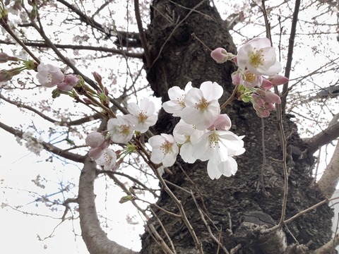 541EE5BB-1676-48A9-B36C-60B2AAA8FB87