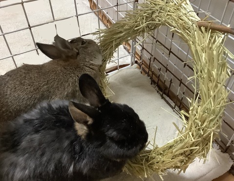 F3AD044A-6061-459C-9024-335B80F1F162