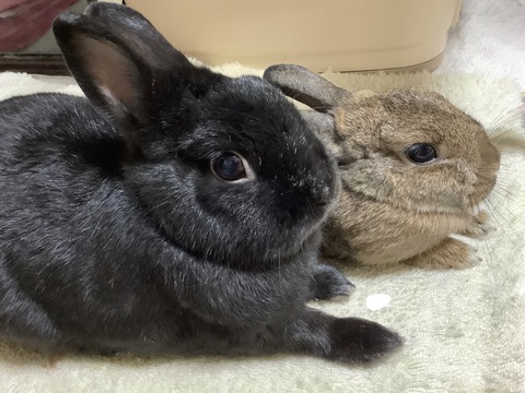 04D0854A-B0BE-4A49-84F7-96A38E3763B7