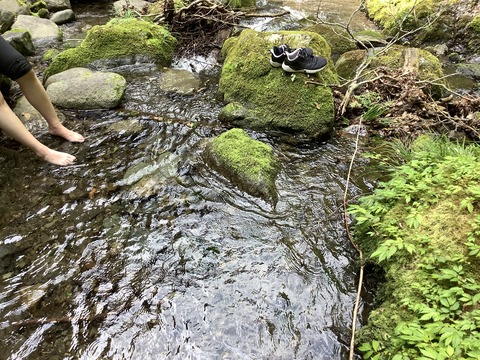 7CEC4DE0-F0B2-4B2A-8AB0-91EBF3514E85