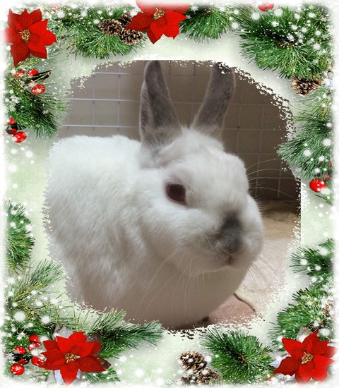 F9C339A7-753F-44EB-930C-BCC0BA169429