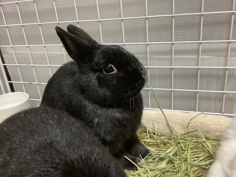 9C1B6FAA-B780-45B4-956C-5DA69C16D124