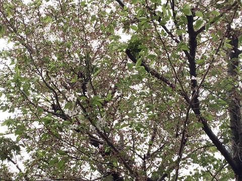 A92DA2C1-3636-424A-9271-59744C075322