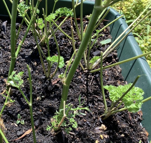 24A759D2-5A22-4A03-89D5-9CBBDCF28435