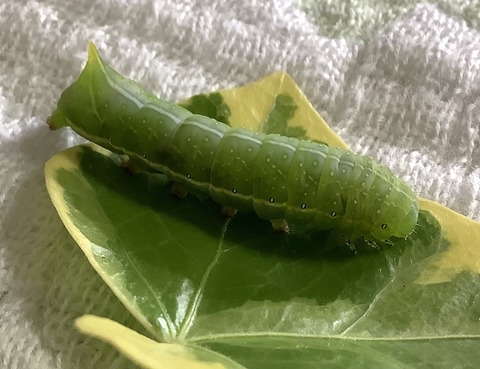 BB843CD9-AD78-4E8A-88F8-61762FF1C5A9